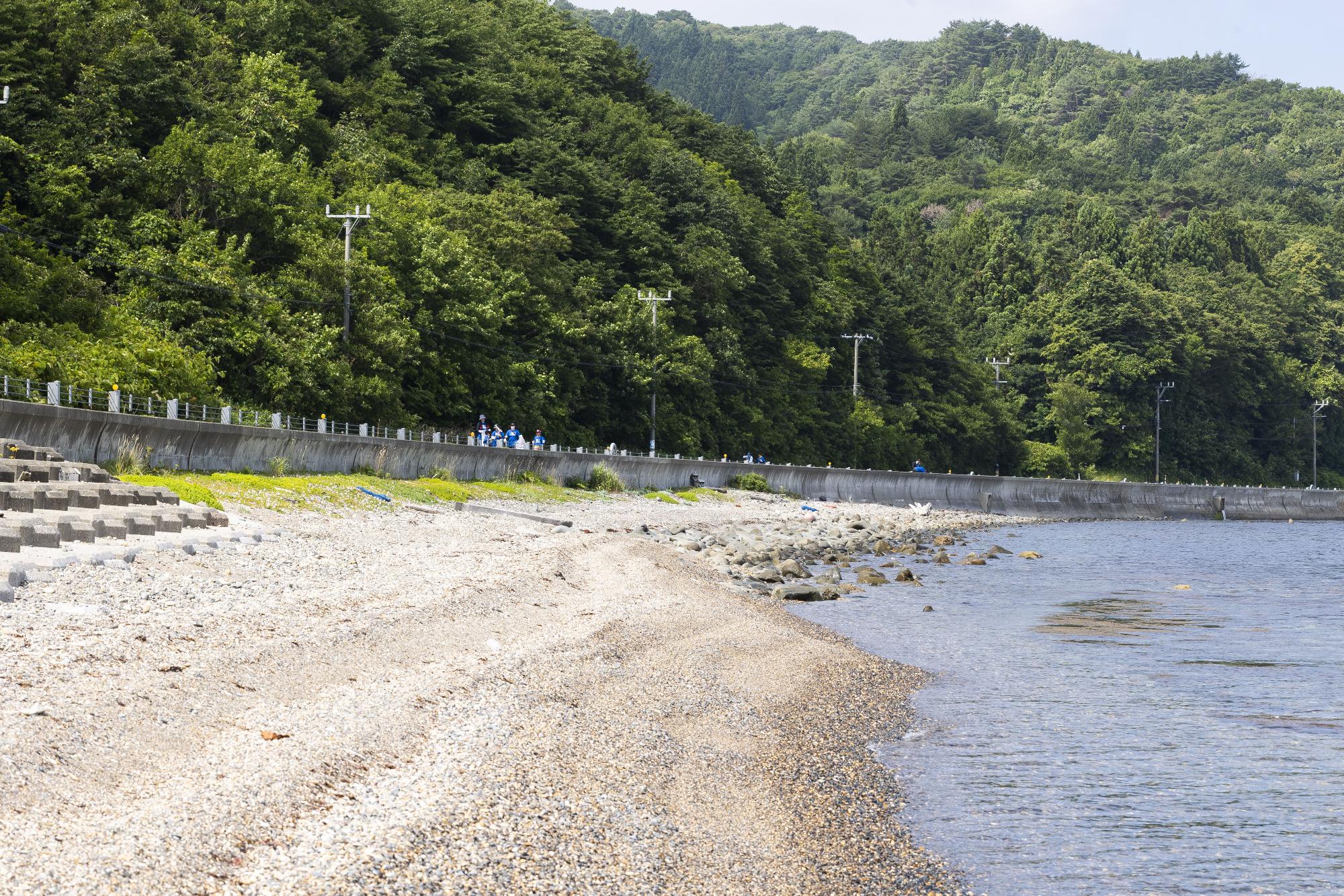 海側から写真01