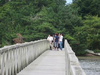 石橋の先で大学生数名が集まって調査をしている写真