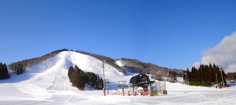 スキー場全景