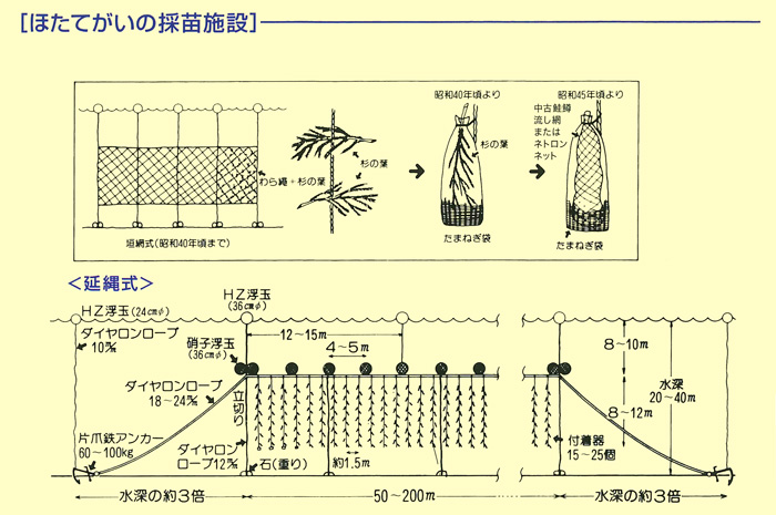 ほたて採苗施設