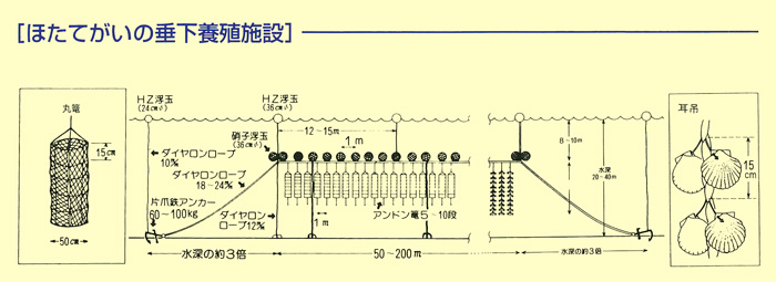 ほたて垂下養殖施設