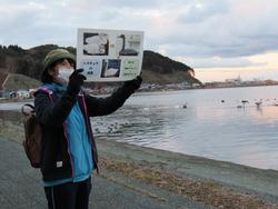 鳥のいる海のそばで資料を持って立っている人の写真