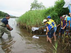 川脇の草むらの根本に虫取り網を入れている人たちと、指導する男性の写真