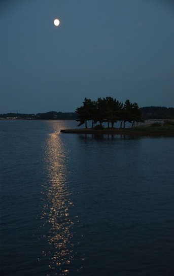 木の生えた陸地と満月の明かりがが水面に写った写真