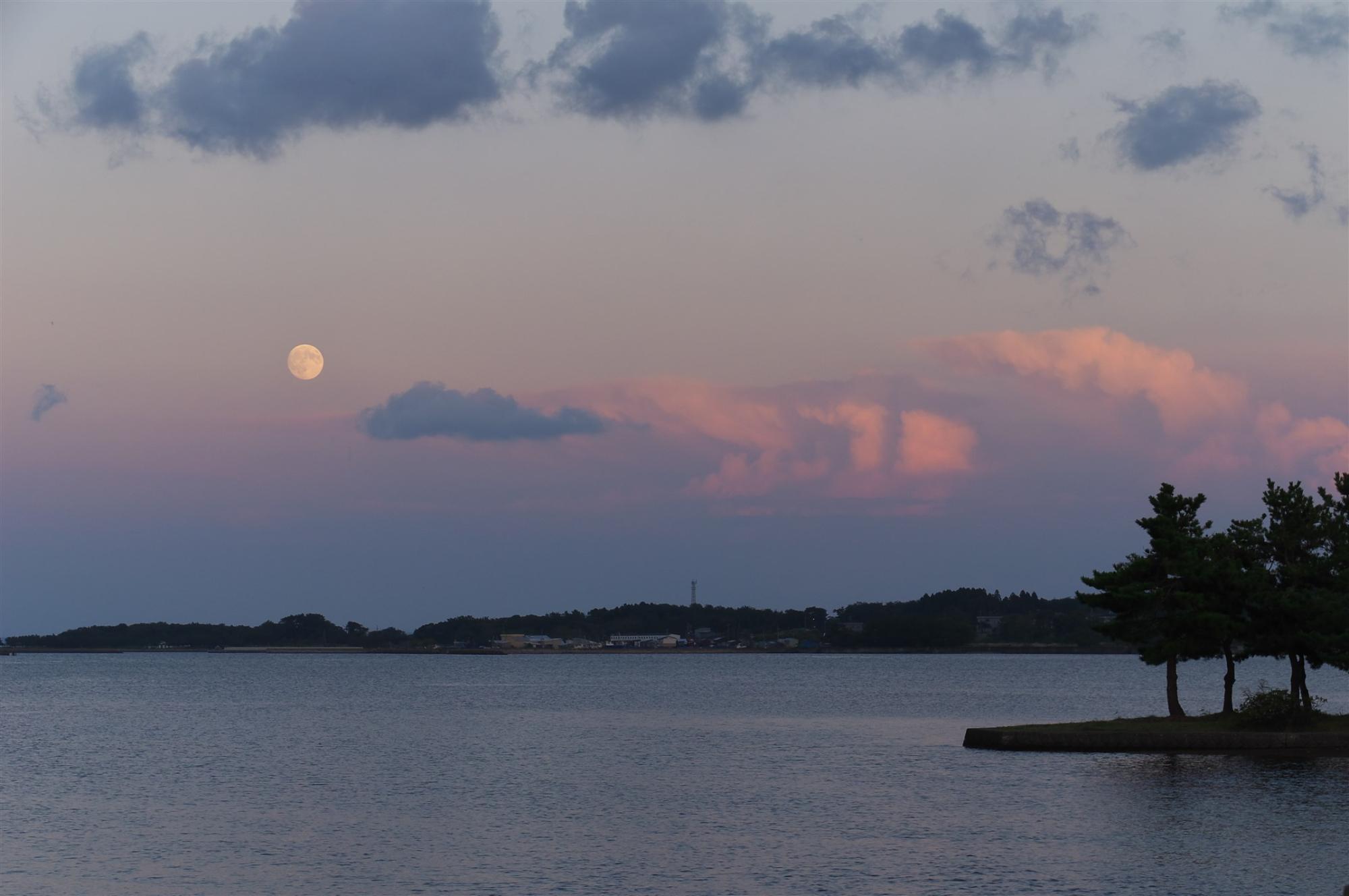 水面と木々とその奥に見える大陸と薄紫色の空と満月の写真