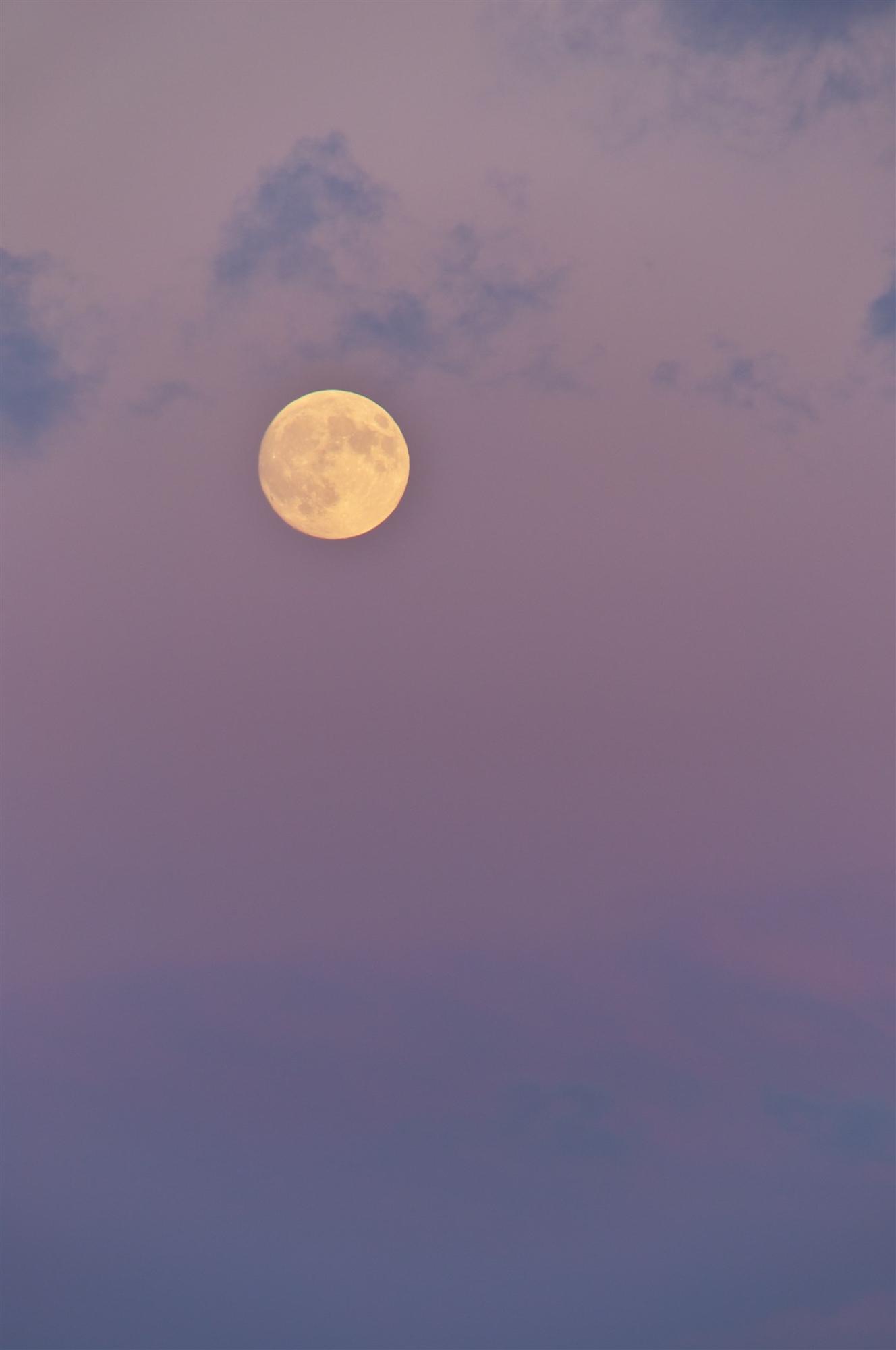 紫色にグラデーションがかった空に満月が浮かんだ写真