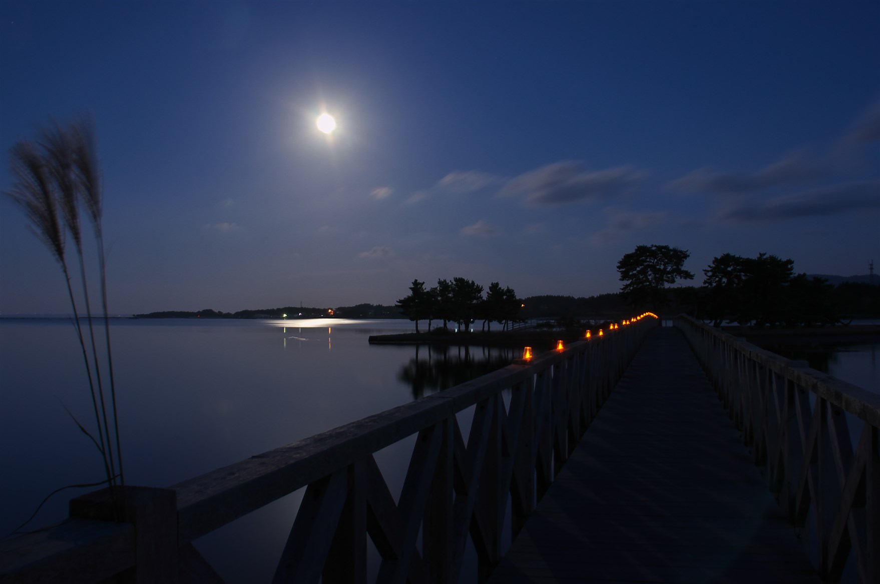 夜の橋から見た水面と月とススキの写真