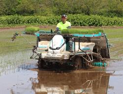 男性が大きな機械を使って田んぼに苗を植えている写真